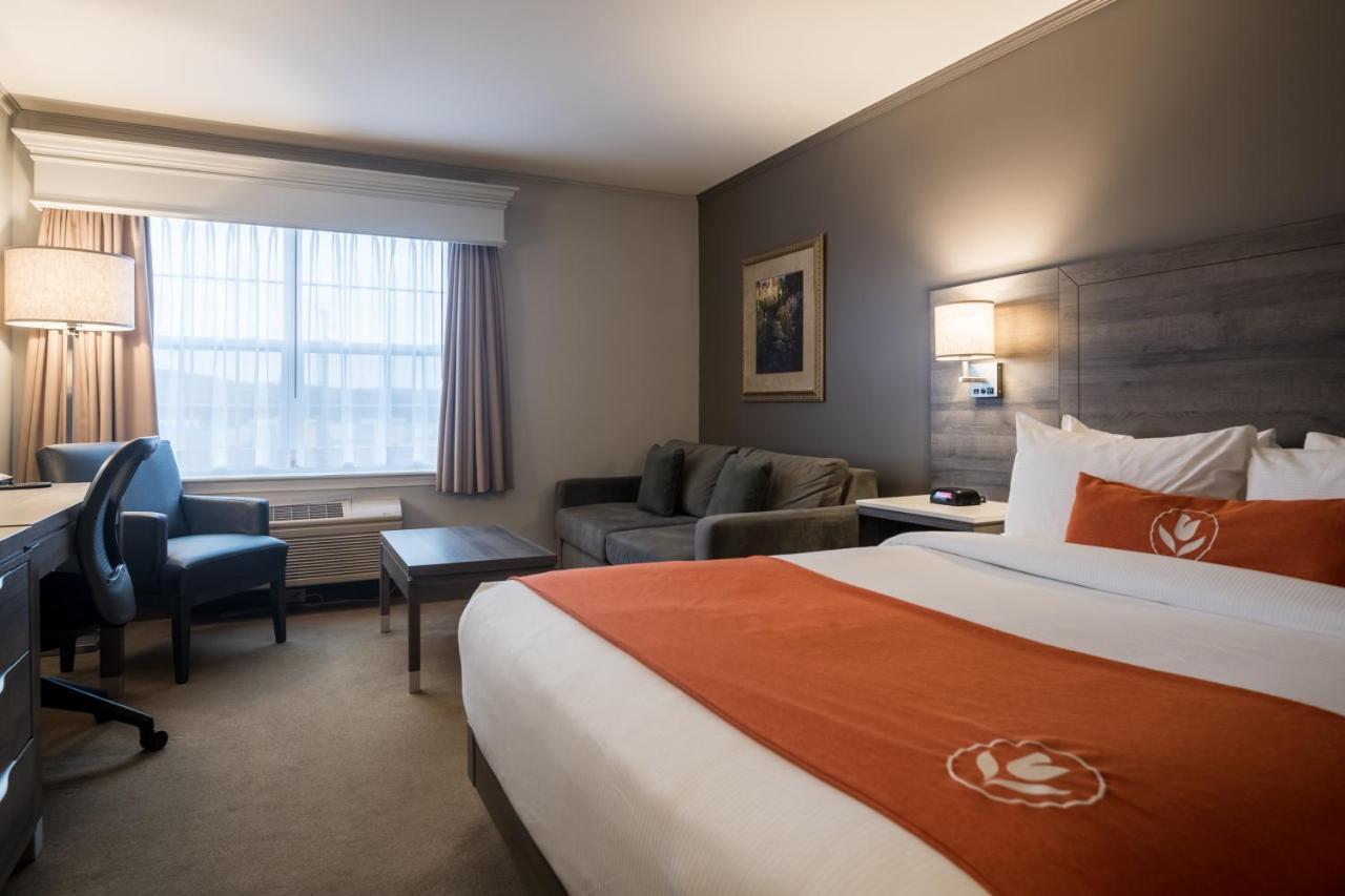 Amsterdam Inn & Suites Монктън Екстериор снимка