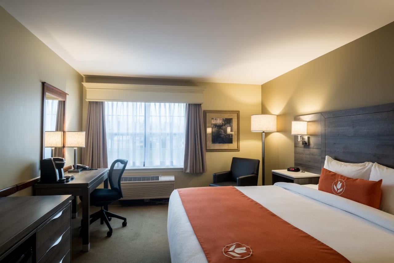 Amsterdam Inn & Suites Монктън Екстериор снимка