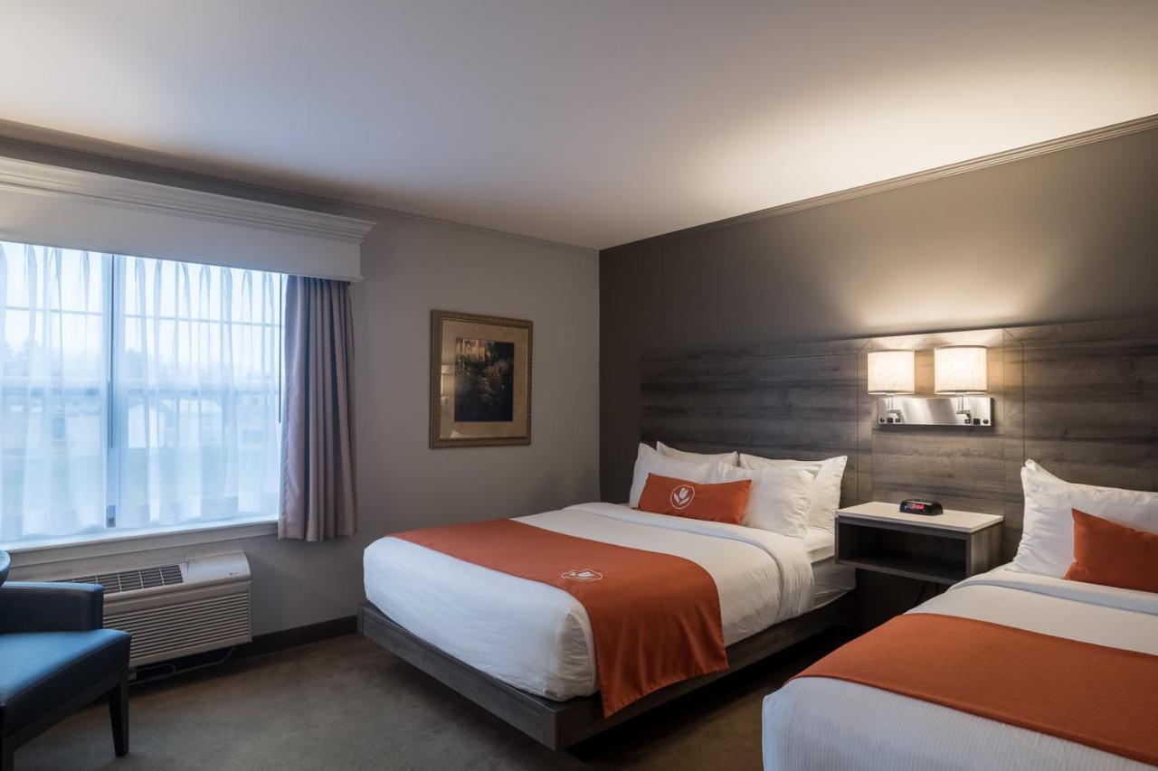 Amsterdam Inn & Suites Монктън Екстериор снимка