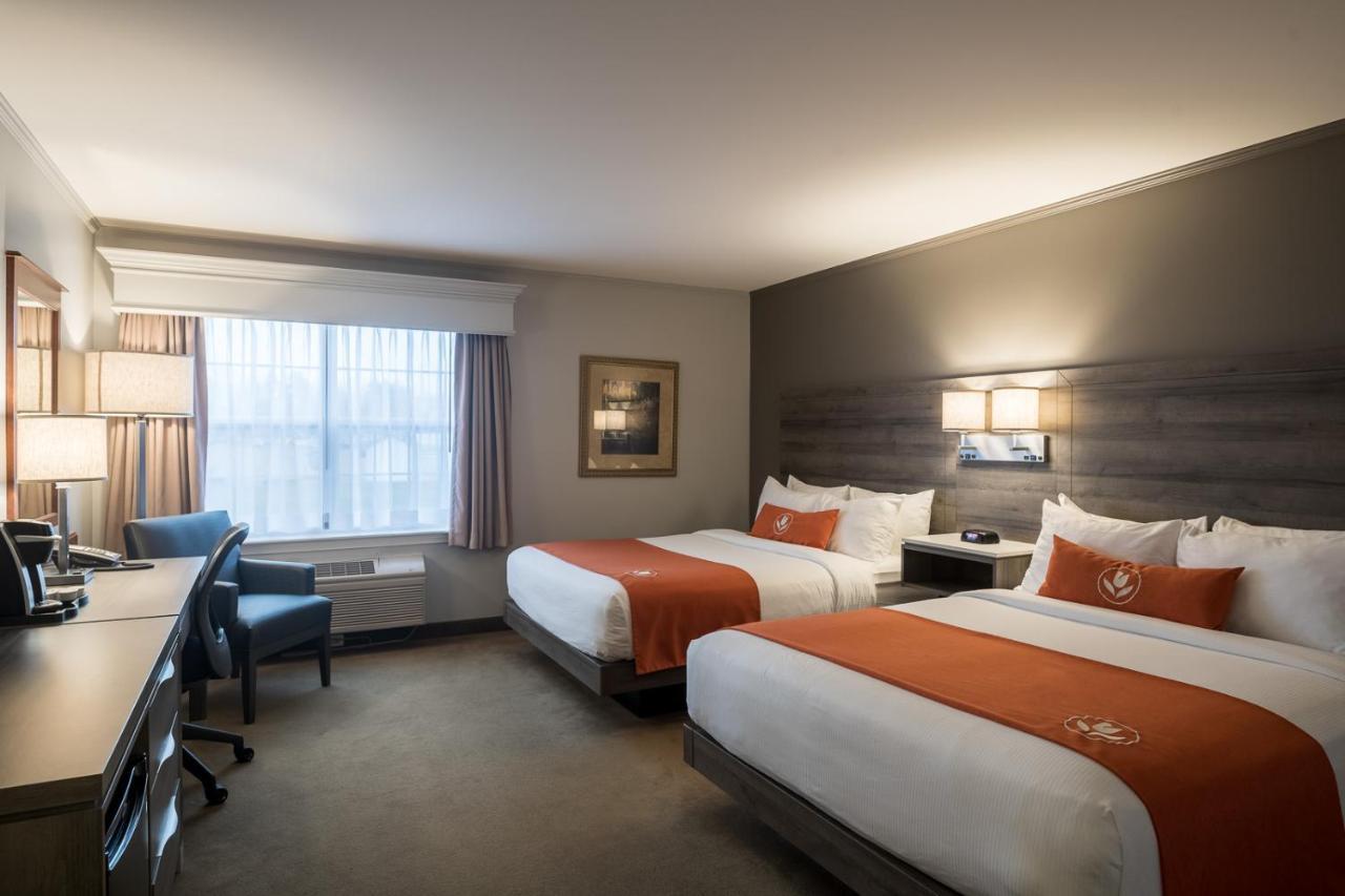 Amsterdam Inn & Suites Монктън Екстериор снимка